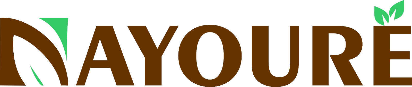 Nayoure iSol Pvt Ltd